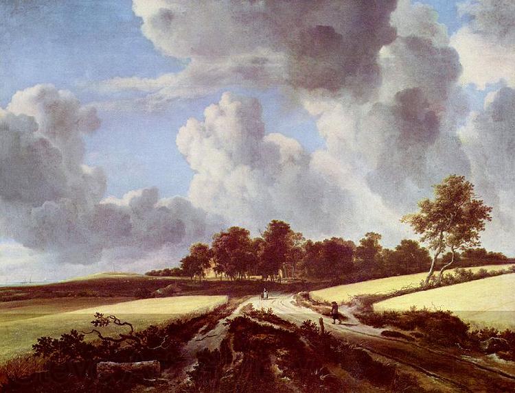 Jacob Isaacksz. van Ruisdael Weizenfelder